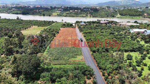 BEAUTIFUL LAND - PROFITABLE INVESTMENT - Owner Needs to Quickly Sell Land Lot in Prime Location, Di Linh Town, Lam Dong _0