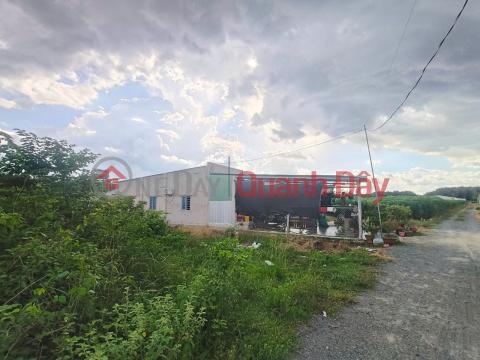 Square Land HXT 125m2 (55m2 ONT) – Dong TN Canal _0