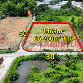 Owner selling a prime plot of land in Long Phuoc, 1,500m2 - Near the University Village, near Vincom District 9 - Excellent price. _0