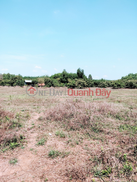 The owner needs to sell a beautiful land lot of 373 m2 ( 112.4 m2 residential ) in Tan Loi, Dong Phu _0
