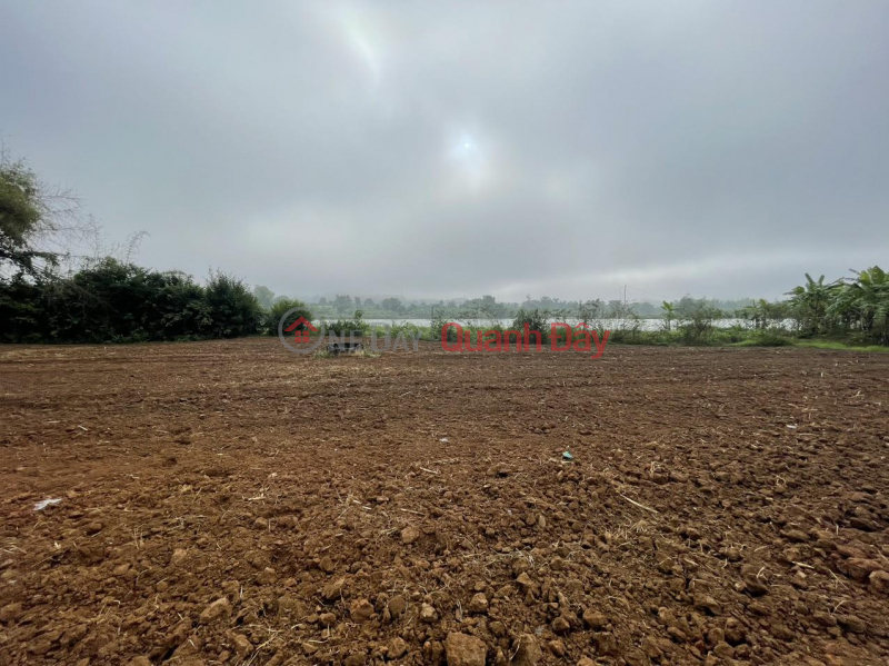 Owner Needs to Sell Land Lot in Quy Hop, Nghe An, Vietnam | Sales ₫ 350 Million