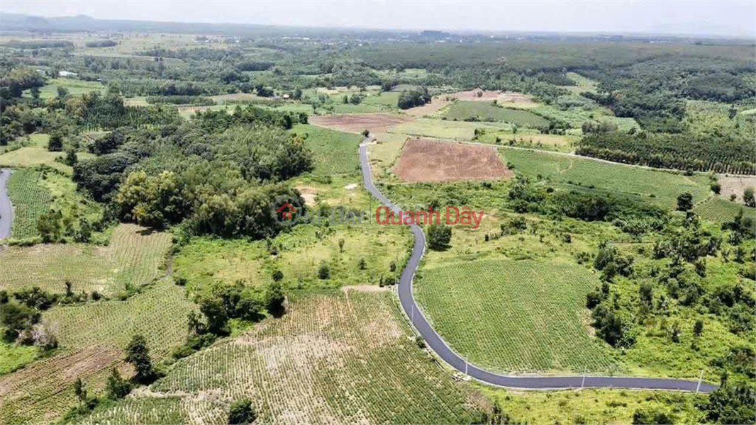 I am the owner and I need to sell a plot of land (sào) with frontage on a paved road in Binh Trung commune, Chau Duc district, Vung Tau. Vietnam Sales, đ 1.65 Billion