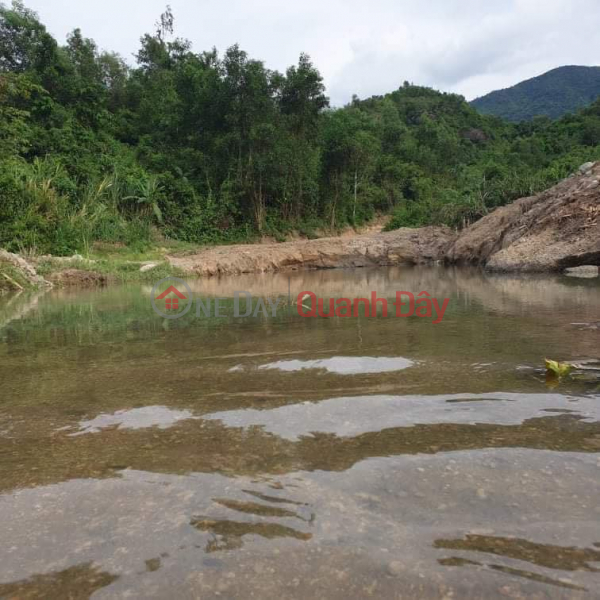 1.5 hectares of Dien Tan Dien Khanh price 790 million O79-53.53.53O | Vietnam, Sales đ 790 Million