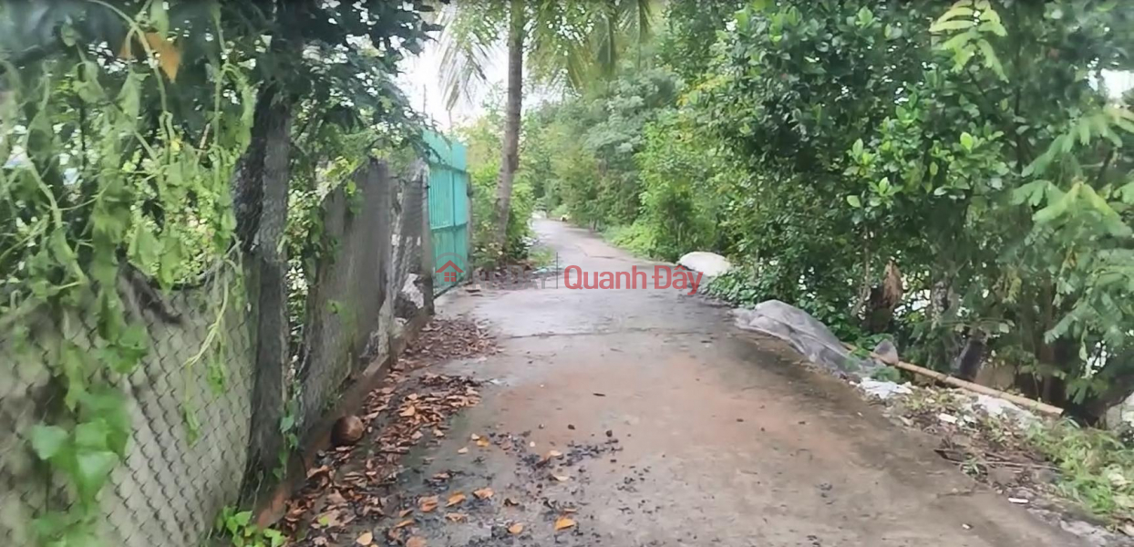 Bán Đất Thổ Cư 120m2 Đường Bà Lài, Tân Dương, Đồng Tháp. Sổ Hồng, Hướng ĐN, 560 Triệu. Việt Nam | Bán, đ 560 triệu