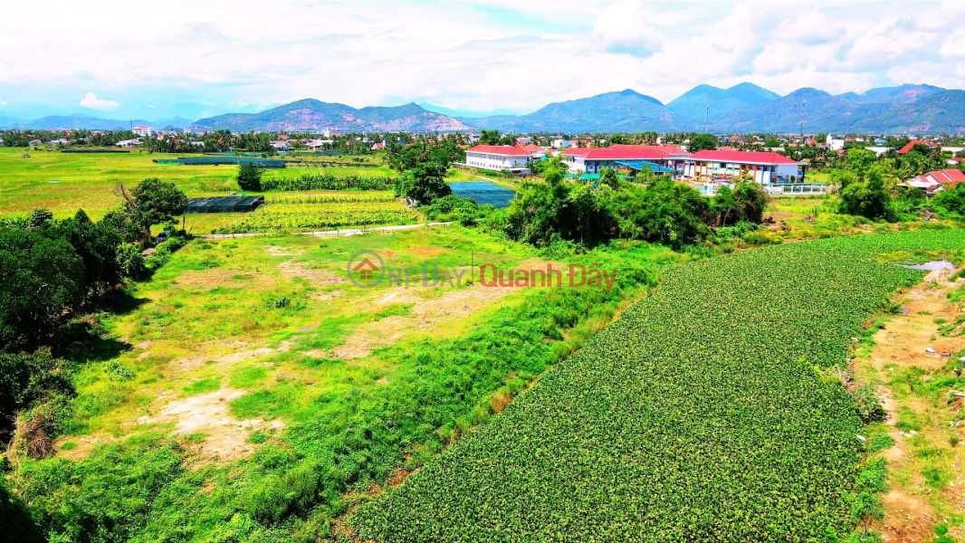 ₫ 25 Billion BEAUTIFUL LAND - INVESTMENT PRICE - For Quick Sale River View Land Lot In Dien Khanh, Khanh Hoa Province