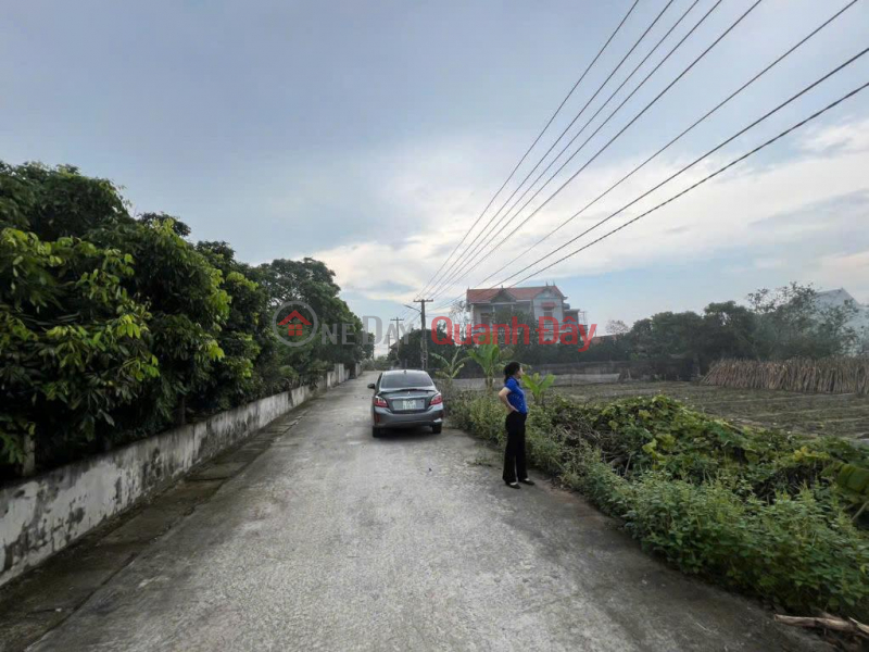 đ 980 Million OWNER'S LAND - FRONTAGE DT 386 Road, Nguyen Hoa Commune, Phu Cu - Hung Yen