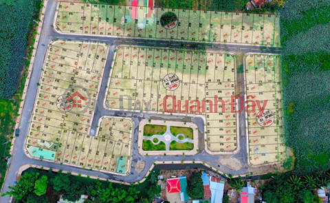 With 150 million, buy a land plot of 100m2 at Tan Hoi residential area right at Tan Hoi church near Thong Nhat street, Phan Rang _0