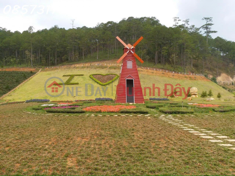 GOLDEN OPPORTUNITY – PARTNERSHIP - TRANSFER OF A AGRICULTURAL TOURISM PROJECT IN LANGBIANG WARD, DA LAT _0