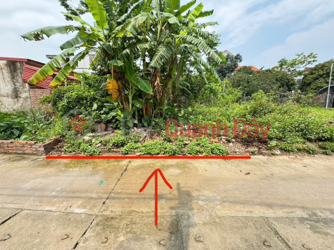 Land for sale in Thanh Lam, Me Linh. Road is clear, cars can avoid, near Me Linh fruit market. _0