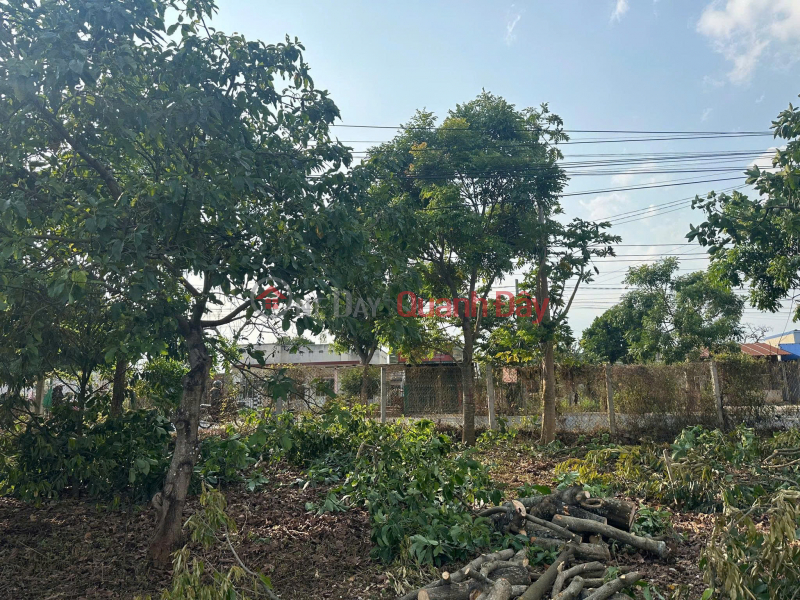 đ 8,8 tỷ, Bán 29,5 x 80m đất mặt tiền quốc lộ 27 giá cực tốt 8,8 tỷ đức trọng