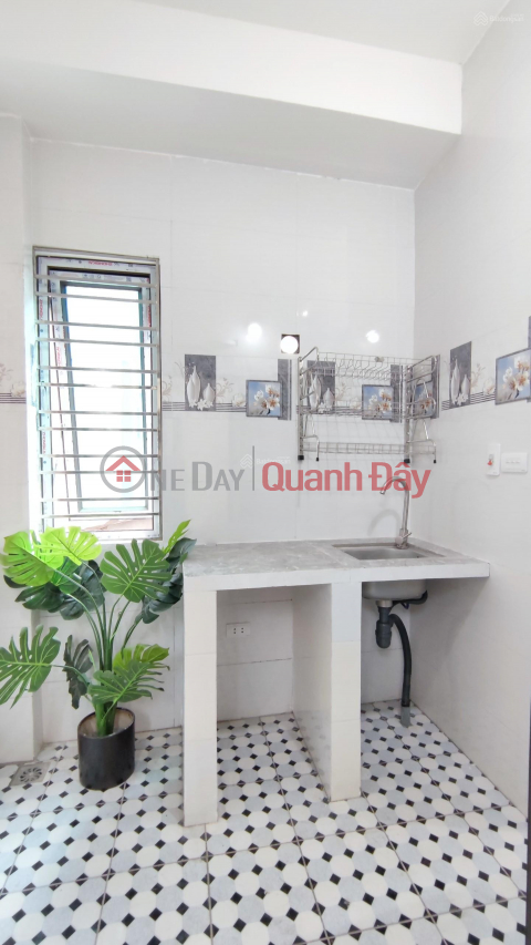 Newly built 30 m2 mini apartment with elevator at Van Tien Dung street _0