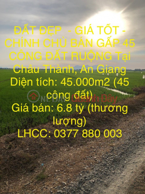 ĐẤT ĐẸP - GIÁ TỐT - CHÍNH CHỦ BÁN GẤP 45 CÔNG ĐẤT RUỘNG Tại Châu Thành, An Giang _0