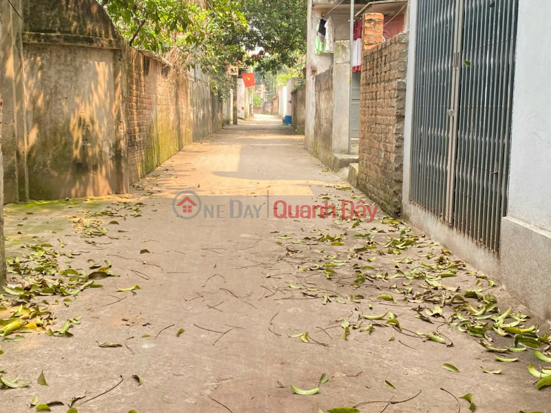 Property Search Vietnam | OneDay | Residential | Sales Listings | 45.7m land in the center of Thuy Huong commune, Chuong My, car access