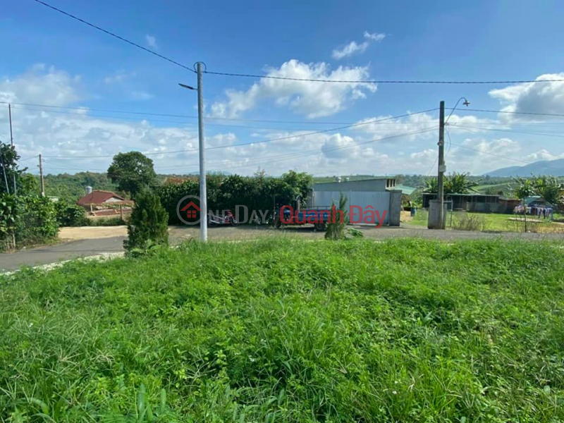 Property Search Vietnam | OneDay | Residential Sales Listings ACCEPTED FOR URGENT SELLING 2 LOT OF LAND 1950m2 RESIDENTIAL, CORNER 2MT, NEAR THE IZ. PRICE 300 CHILDREN