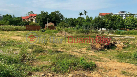 Binh Yen resettlement in Hoa Lac CNC belt has the cheapest price in the area _0