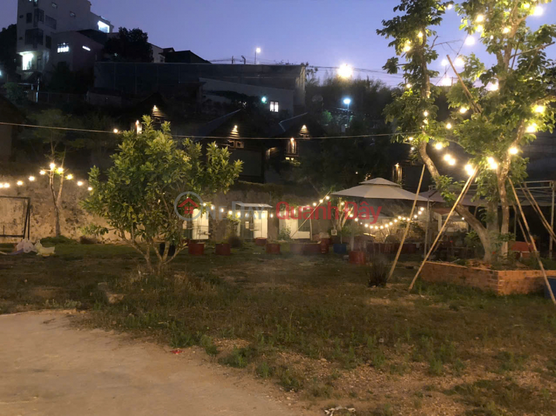Homestay Dankia, Ward 7, Da Lat for rent: 50 million VND\\/month, Vietnam, Rental, đ 50 Million/ month