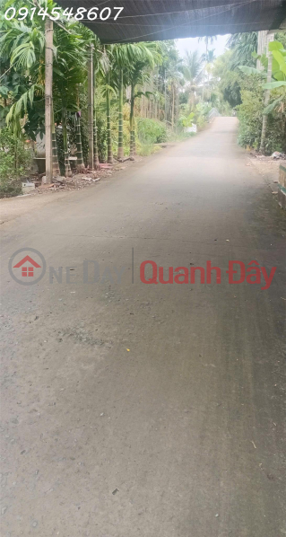 Property Search Vietnam | OneDay | Nhà ở | Niêm yết bán | Bán đất sẵn nhà cấp 4 mặt tiền đường bê tông tại Trường Thành, Cần Thơ, DT 700m2, giá TL