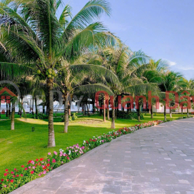 1-bedroom apartment with direct sea view, fully furnished. _0