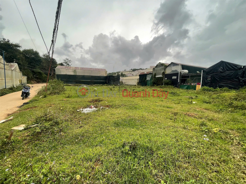 PRIME LAND - INVESTMENT PRICE - OWNER SELLING PLOT OF LAND IN WARD 7, DA LAT, LAM DONG Sales Listings