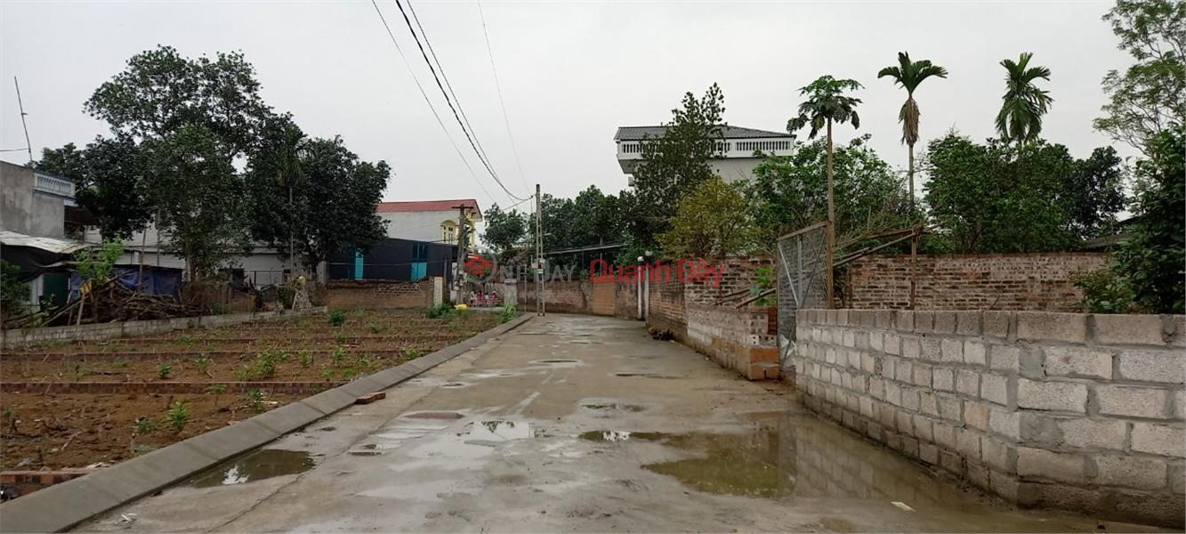 Corner lot 92.1 m2, full residential land, Canh Chu, Binh Yen, Thach That Hanoi. Vietnam | Sales đ 1.2 Billion