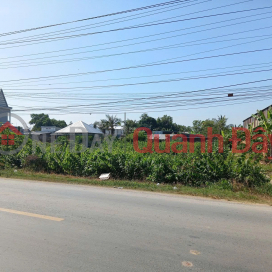 Bán Đất tại Quốc lộ 54, xã Lai Vung (xãTân Thành, Huyện Lai Vung) giá tốt chỉ với 4,1 tỷ _0