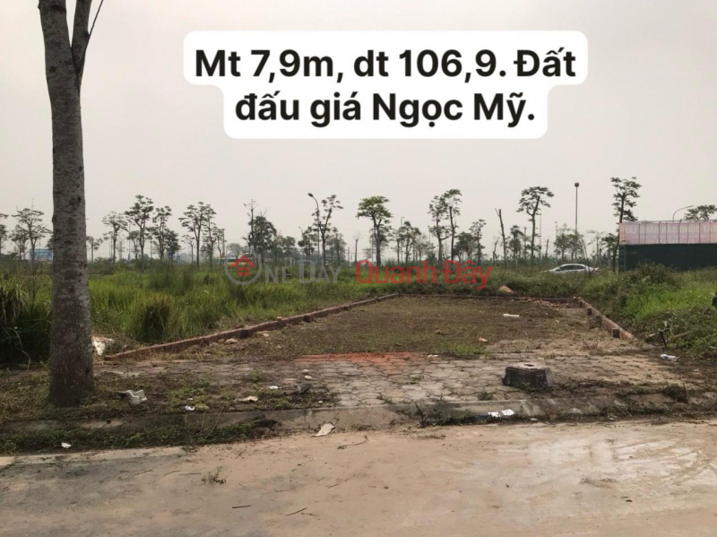 Phân lô Đấu giá Thị trấn QUốc Oai 107m2 mt 8m giá bán nhanh Niêm yết bán