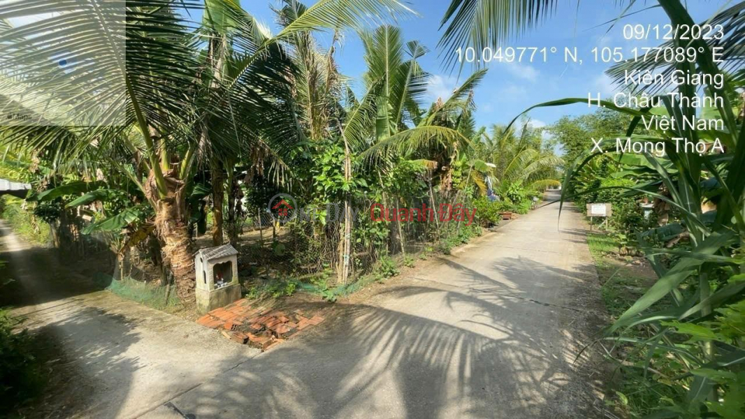 ₫ 800 Million OWNER NEEDS TO SELL QUICK Plot At Thanh Loi, Mong Tho A, Chau Thanh, Kien Giang