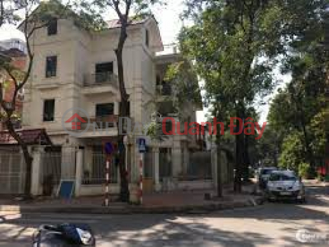 Selling villa in Me Tri Ha urban area 224.5m2, corner lot, price 52.8 billion VND _0