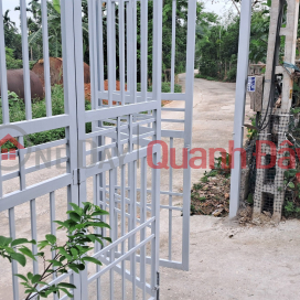 Bán Lô Đất Có Diện tích 389m2 Tại Phượng Hùng 1 - Chí Đám - Đoan Hùng - Phú Thọ Bán Lô Đất Có Diện tích 389m2 Tại Phượng Hùng 1 - Chí Đám - Đoan Hùng - Phú Thọ _0