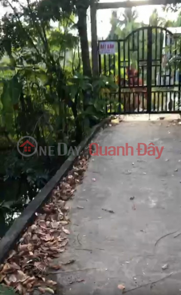 Buy land and get a free single-story house - Located on a paved road in My Phong, My Tho - Rare and spacious land plot - Profitable investment., Vietnam, Sales | đ 3.8 Billion