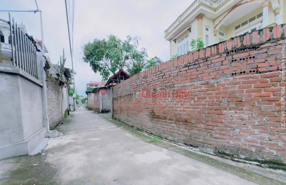 Property Search Vietnam | OneDay | Nhà ở, Niêm yết bán Bán đất Thuận Thành, Bắc Ninh. 62m2 * mt 4m * 1,6 tỷ. đường ô tô thông