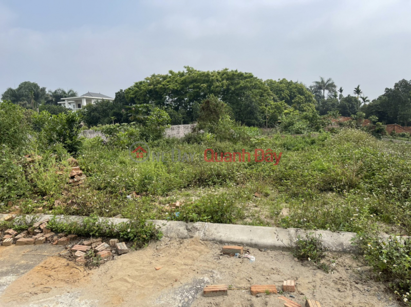đ 1.5 Billion BEAUTIFUL LAND - GOOD PRICE - Owner For Sale Land Lot Nice Location In Phu Cat Urban Area - Hoa Lac, Hanoi