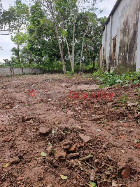 Land for sale in Hoang Dieu commune, Chuong My. Land area 336m2 _0