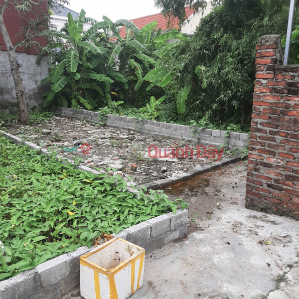 Property Search Vietnam | OneDay | Nhà ở Niêm yết bán, Lô đất hiếm ngay trung tâm Quý Kim – Đồ Sơn – Giá chỉ 5xx triệu