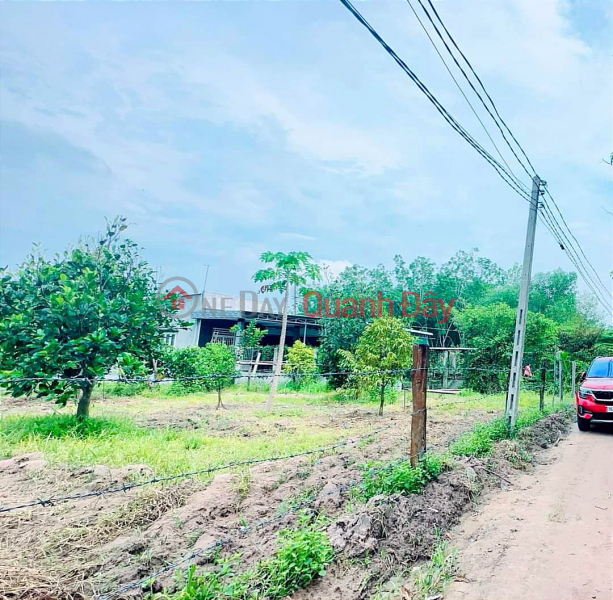 Durian garden for sale in Minh Thanh town, Chon Thanh town, cheap price Sales Listings