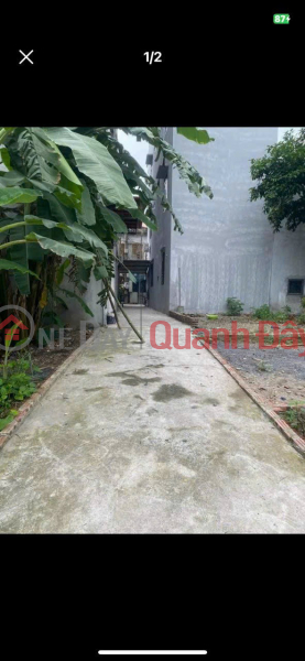 Property Search Vietnam | OneDay | Residential, Sales Listings LAND FOR SALE IN BINH SON, CHUC SON TOWN - Area: 40m², square red book. - Beautiful location, just walk to the gate