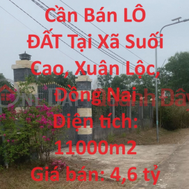 Cần Bán LÔ ĐẤT Tại Xã Suối Cao, Xuân Lộc, Đồng Nai _0