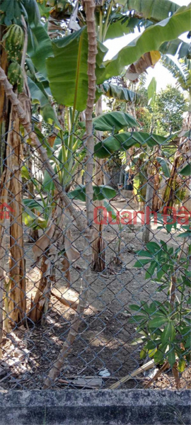 OWNER Needs to Sell a Lot of Land in a Beautiful Location in Hoa Binh Village, Nghia Hoa Commune, Tu Nghia, Quang Ngai Sales Listings