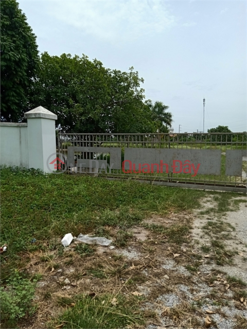 Selling 5,000m2 of warehouse land in Tan Quang Industrial Park, Van Lam District, Hung Yen Province. _0