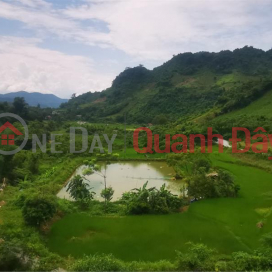 BEAUTIFUL LAND - GOOD PRICE - OWNER FOR SALE VAC Complex Farm In Lao Cai _0