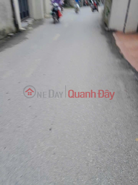 OWNER NEEDS TO SELL A BEAUTIFUL LOT OF LAND - SUPER PROFITABLE INVESTMENT At Nguyen Van Linh Street, Phuc Dong Ward, Long Bien, Hanoi Sales Listings