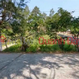 BEAUTIFUL LAND - GOOD PRICE - Owner For Sale Land Lot In Luong Hoa Commune, Giong Trom District, Ben Tre _0