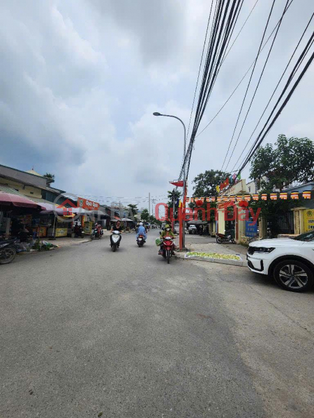 Property Search Vietnam | OneDay | Residential Sales Listings, BEAUTIFUL LAND - PRIME LOCATION - Need to Sell Land Plot Quickly in Yen Vinh - Troi Town - Hoai Duc - Hanoi