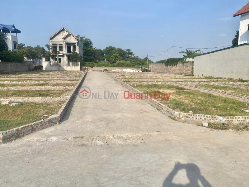 Property Search Vietnam | OneDay | Residential Sales Listings Land for sale in Huong Dinh, Mai Dinh close to Noi Bai industrial park CN2, CN3 with car access to the land for just over 800 million