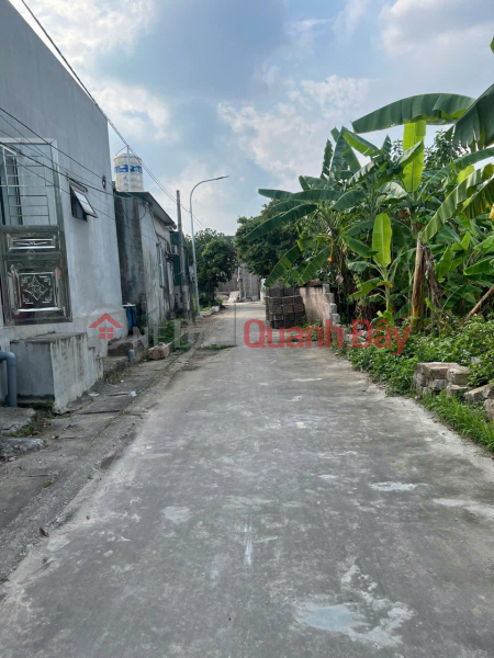 Chính chủ bán đất Đồng Xuân 1, Trường Thọ, An Lão - 100m2, gần đường 301, tiện ích đầy đủ Niêm yết bán