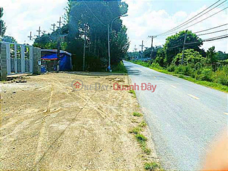 Property Search Vietnam | OneDay | Residential, Sales Listings | (D) House and land with 3 frontages on provincial road, nearly 7 hectares, Cu Chi, price 100 billion x billion