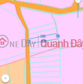BEAUTIFUL LAND - PROFITABLE INVESTMENT - Owner Needs to Sell Land Lot in Binh Loi, Vinh Cuu, Dong Nai _0