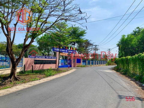 Land for sale in Binh Hoa resettlement area, near Buu Long, 230m2, 8m wide asphalt road, only 4 billion _0