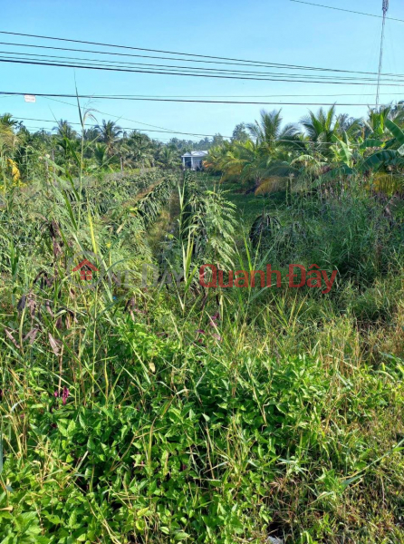 OWNER OWN A Plot Of Land With A Nice Location In Cang Long District - VERY FLOW PRICE | Vietnam Sales đ 5.4 Billion