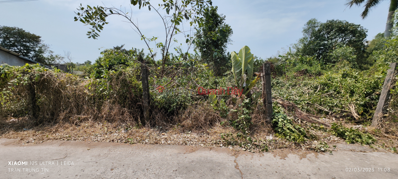 ₫ 1.8 Billion, Urgent sale of rice land plot in Binh Lanh Tan Tru commune for 1.8 billion